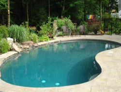 Bean Shaped Pool Manufacturer in Visakhapatnam